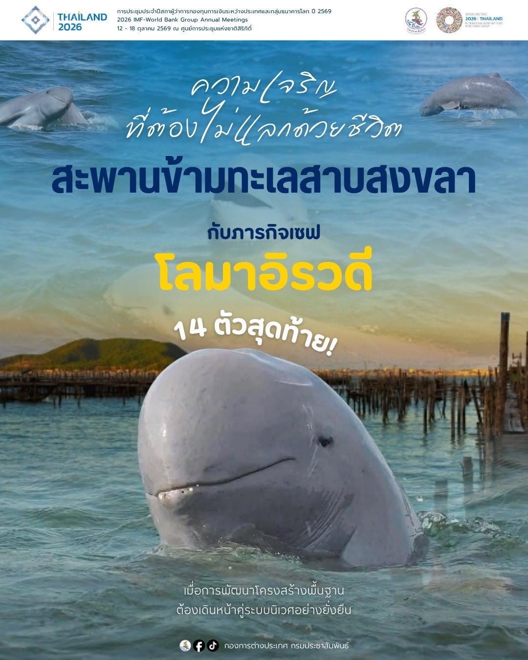 โปรเจคต์กู้เงินธนาคารโลก สร้างสะพานข้ามทะเลสาบสงขลา กับภารกิจปกป้อง &ldquo;โลมาอิรวดี&rdquo; 14 ตัวสุดท้ายของไทย
